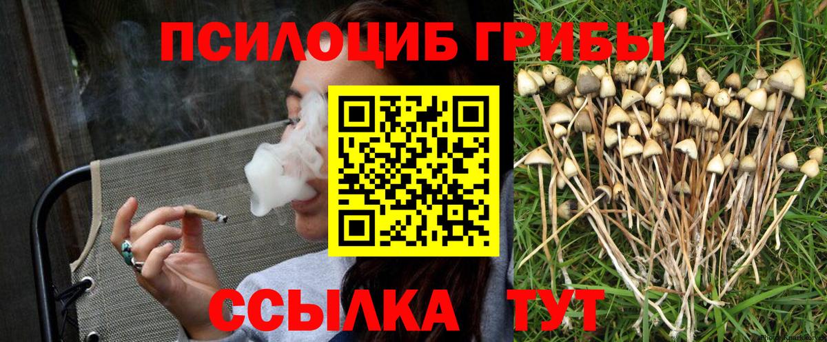 Галлюциногенные грибы мицелий  Псилоцибиновые грибы мицелий  Черкесск  Вход с VPN 